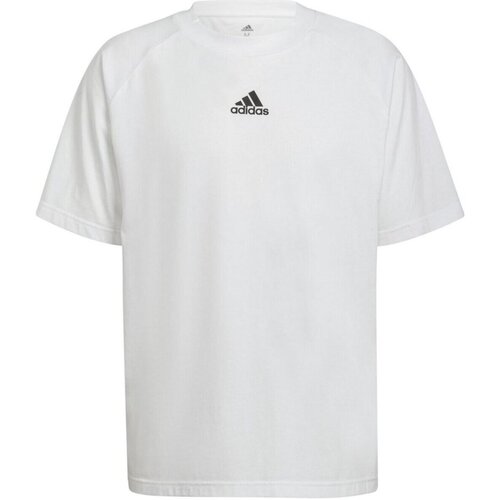 Kleidung Herren T-Shirts adidas Originals Sport M BL Q2 T HE4421 Weiss