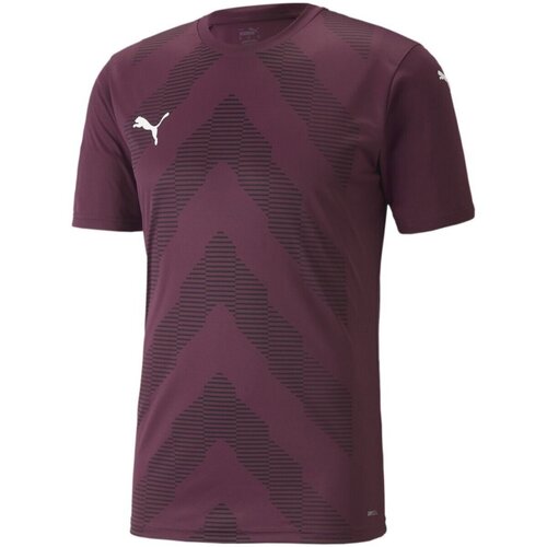 Kleidung Herren T-Shirts & Poloshirts Puma Sport teamGLORY Jersey 705017-0024 Violett