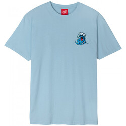 Kleidung Herren T-Shirts & Poloshirts Santa Cruz Screaming wave Blau