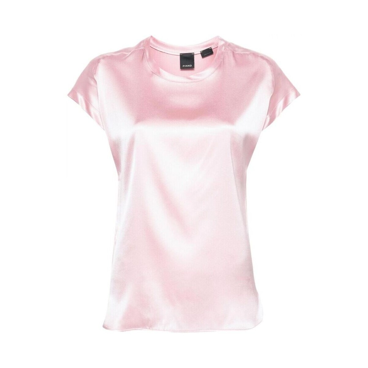 Kleidung Damen Hemden Pinko FARIDA 100100 A1RJ-N98 Rosa