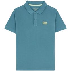 Kleidung Jungen T-Shirts Scalpers  Blau
