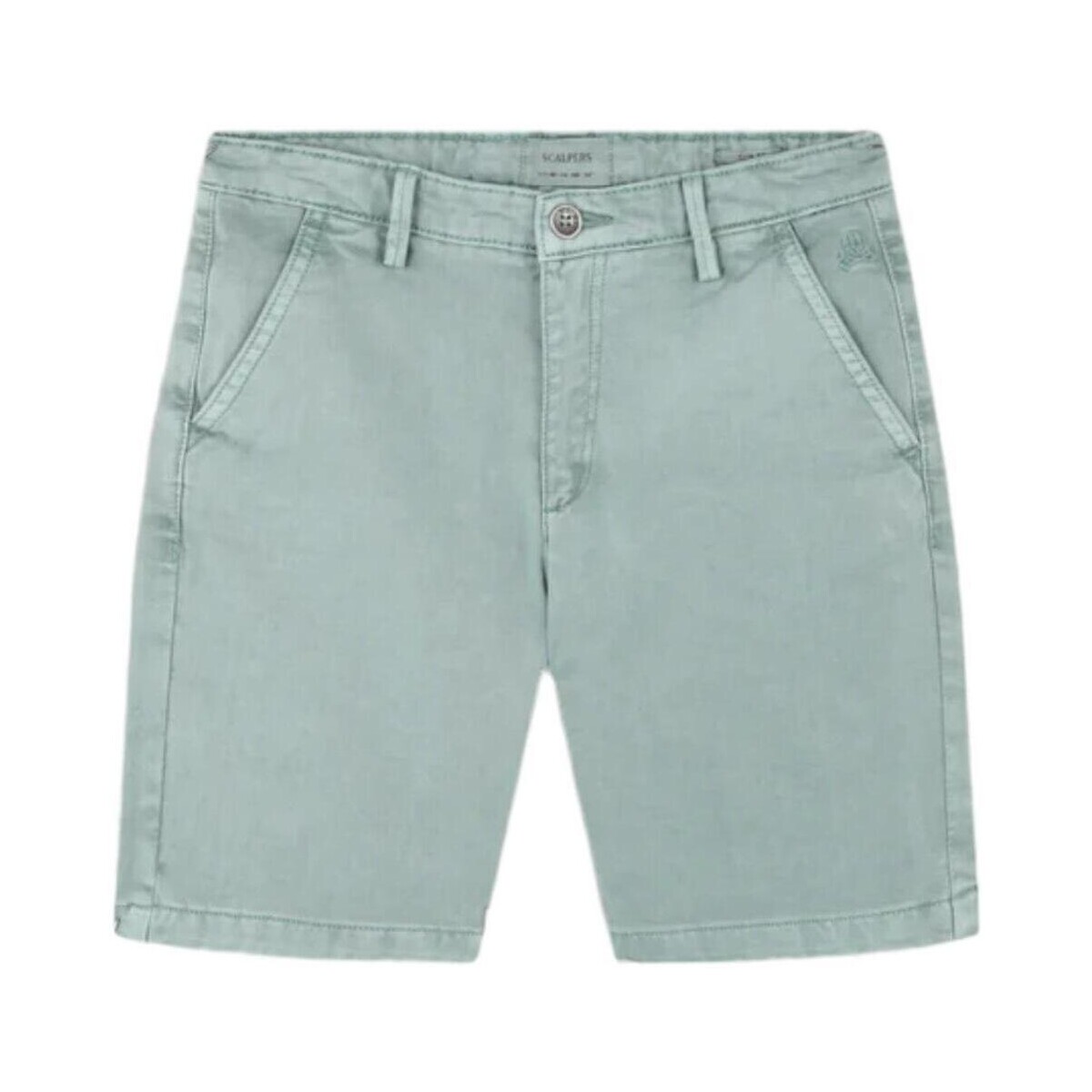Kleidung Jungen Shorts / Bermudas Scalpers  Grün