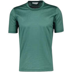 Kleidung Herren T-Shirts & Poloshirts Gran Sasso  Grün