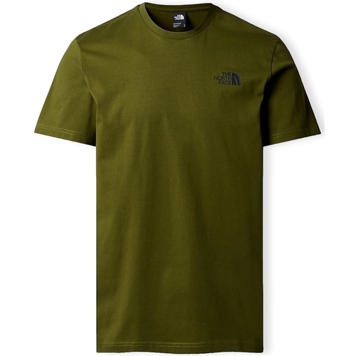 Kleidung Herren T-Shirts & Poloshirts The North Face Redbox Celebration T-Shirt - Forest Olive Grün
