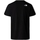 Kleidung Herren T-Shirts & Poloshirts The North Face Fine Alpine Equipment 3 T-Shirt - Black Schwarz