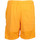 Kleidung Herren Shorts / Bermudas Nike M Jordan Flt Mvp Mesh Short F2 Orange