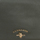 Taschen Damen Schultertaschen U.S Polo Assn. BEUSS5487WVP-GREEN Grün