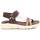 Schuhe Damen Sandalen / Sandaletten Xti 14290101 Braun