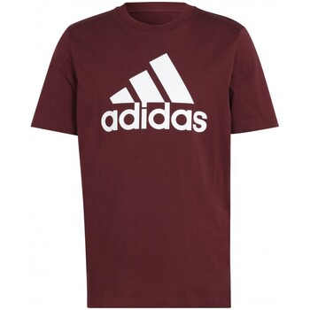Kleidung Herren T-Shirts adidas Originals  Bordeaux