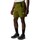 Kleidung Herren Shorts / Bermudas The North Face NF0A86QJ3X41 Other