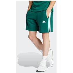 Kleidung Herren Shorts / Bermudas adidas Originals  Grün