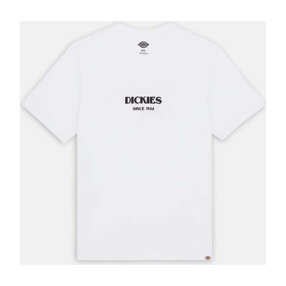 Kleidung Herren T-Shirts & Poloshirts Dickies  Weiss