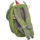 Taschen Kinder Rucksäcke Affenzahn Mode Accessoires Small Friend Backpack Dragon AFZ-FAS-002-022 Grün