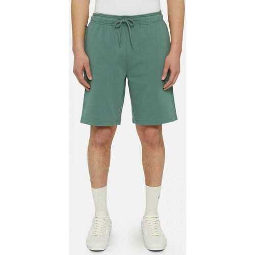 Kleidung Herren Shorts / Bermudas Dickies Mapleton short Grün