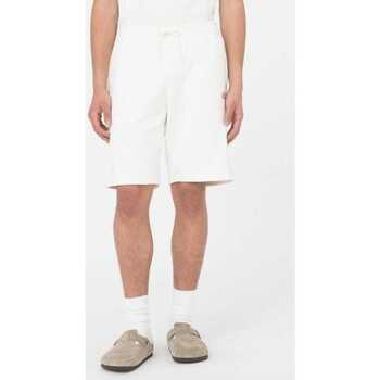 Kleidung Herren Shorts / Bermudas Dickies Mapleton short Beige
