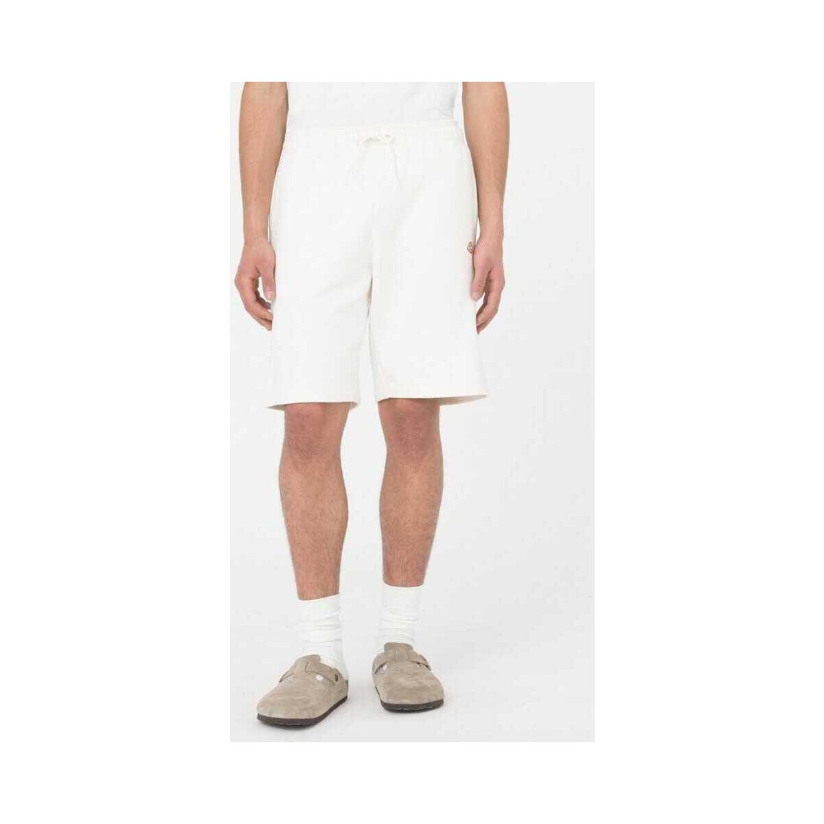 Kleidung Herren Shorts / Bermudas Dickies Mapleton short Beige