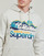 Kleidung Herren Sweatshirts Superdry HOODED GREAT OUTDOORS Beige