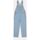 Kleidung Damen Overalls / Latzhosen Dickies CLASSC DNM BIB W DK0A4XYCC-151 VNTG BLUE LIGHT Blau