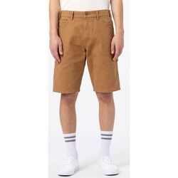 Kleidung Herren Shorts / Bermudas Dickies DUCK CARPENTER SHORT DK0A4XNG-C41 BROWN DUCK Beige