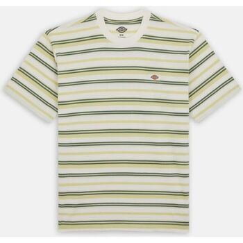 Kleidung Herren T-Shirts & Poloshirts Dickies GLADE SPRING DK0A4YR1-J42 STRIPE CLOUD Beige