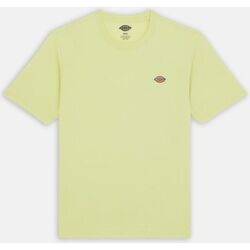 Kleidung Herren T-Shirts & Poloshirts Dickies MAPLETON TEE SS 0A4XDB-141 PALE GREEN Grün