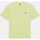 Kleidung Herren T-Shirts & Poloshirts Dickies MAPLETON TEE SS 0A4XDB-141 PALE GREEN Grün
