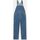 Kleidung Damen Overalls / Latzhosen Dickies CLASSC DNM BIB W DK0A4XYCC-LB1 CLASSIC BLUE DNM Blau