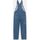Kleidung Damen Overalls / Latzhosen Dickies CLASSC DNM BIB W DK0A4XYCC-LB1 CLASSIC BLUE DNM Blau