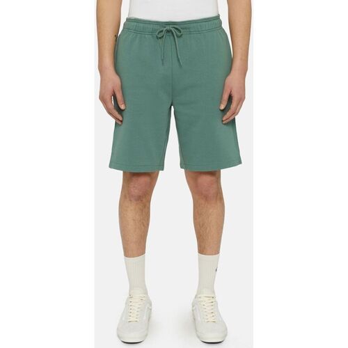 Kleidung Shorts / Bermudas Dickies MAPLETON SHORT DK0A4Y83-H15 DARK FOREST Grün