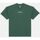 Kleidung Herren T-Shirts & Poloshirts Dickies ENTERPRISE TEE DK0A4YRN-H15 DARK FOREST Grün
