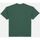 Kleidung Herren T-Shirts & Poloshirts Dickies ENTERPRISE TEE DK0A4YRN-H15 DARK FOREST Grün