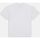 Kleidung Herren T-Shirts & Poloshirts Dickies ENTERPRISE TEE DK0A4YRN-WHX WHITE Weiss