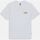 Kleidung Herren T-Shirts & Poloshirts Dickies RUSTON TEE SS DK0A4XDC-H80 WHT/PALE GREEN Weiss