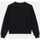 Kleidung Damen Sweatshirts Dickies W MILLERSBURG SWEATSHIRT DK0A4YQD-BLK BLACK Schwarz