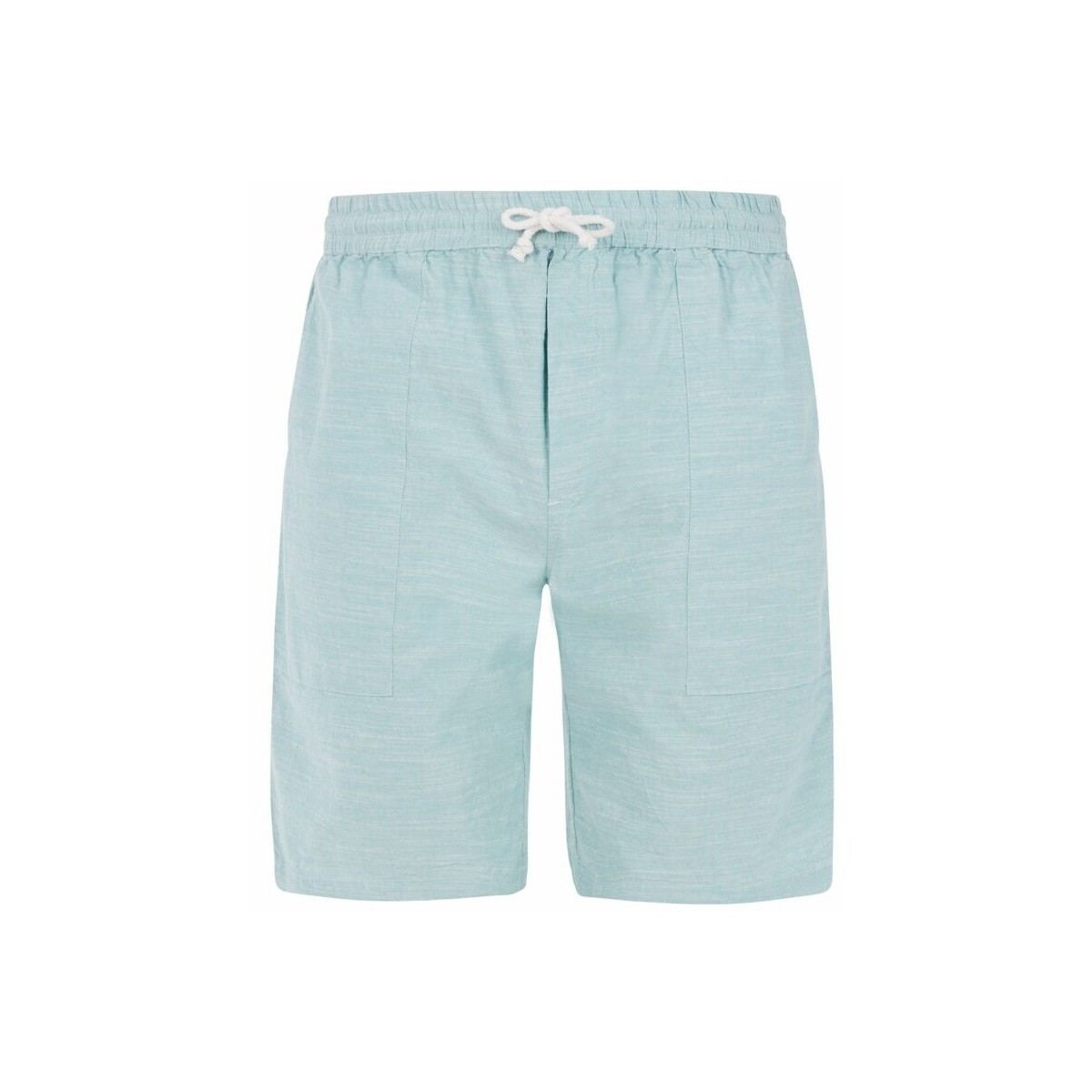 Kleidung Herren Shorts / Bermudas Protest Short  Prtbirger Blau