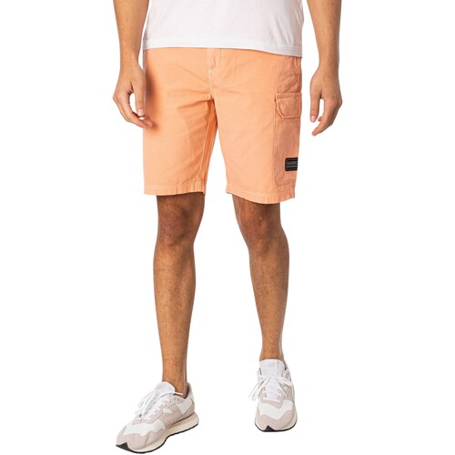 Kleidung Herren Shorts / Bermudas Barbour Gear Cargo-Shorts Rosa
