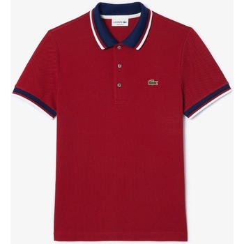 Kleidung Herren T-Shirts & Poloshirts Lacoste PH3461 Rot