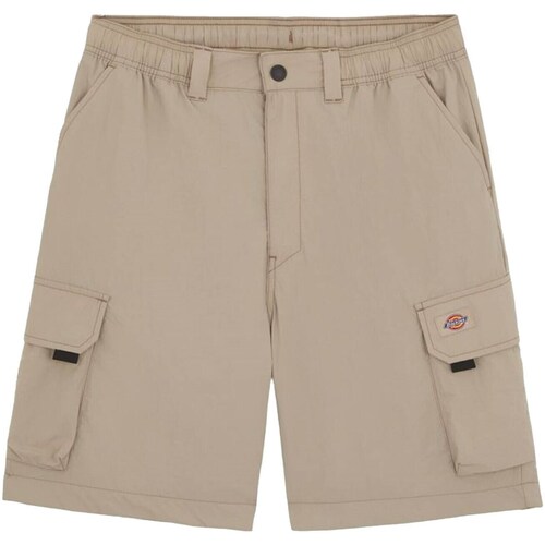 Kleidung Herren Shorts / Bermudas Dickies DK0A4YACSS01 Multicolor