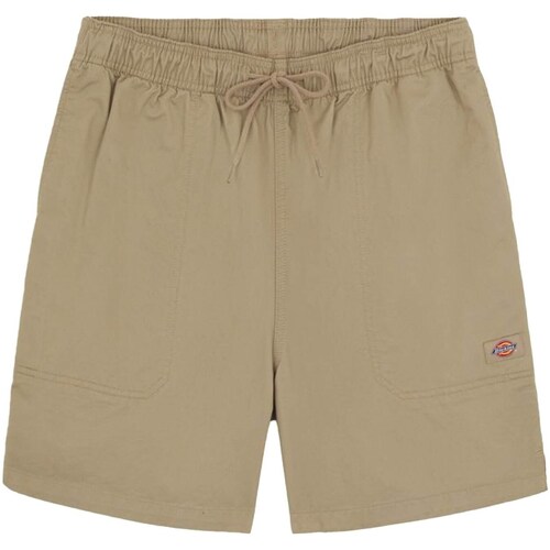 Kleidung Herren Shorts / Bermudas Dickies DK0A4XB2DS01 Beige
