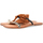 Schuhe Sandalen / Sandaletten Gioseppo LEDYARD Multicolor