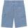 Kleidung Herren Shorts / Bermudas Dickies  Blau