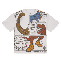 Kleidung Jungen T-Shirts Timberland TEE-SHIRT MANCHES COURTES T60295 Multicolor