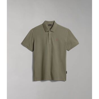 Kleidung Herren T-Shirts & Poloshirts Napapijri EOLANOS 3 NP0A4GB3-GAE GREEN LICHEN Grün