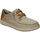 Schuhe Herren Derby-Schuhe & Richelieu Skechers 210116-TPE Beige