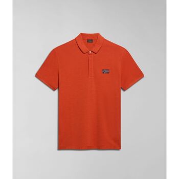 Kleidung Herren T-Shirts & Poloshirts Napapijri EBEA 2 NP0A4HPY-A62 ORANGE BURNT Orange