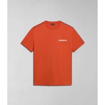 Kleidung Herren T-Shirts & Poloshirts Napapijri S-GRAS NP0A4HQN-A62 ORANGE BURNT Orange
