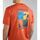 Kleidung Herren T-Shirts & Poloshirts Napapijri S-GRAS NP0A4HQN-A62 ORANGE BURNT Orange