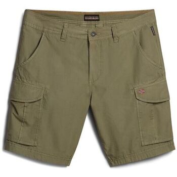 Kleidung Herren Shorts / Bermudas Napapijri NOTO 2.0 NP0A4HOQ-GAE GREEN LICHEN Grün