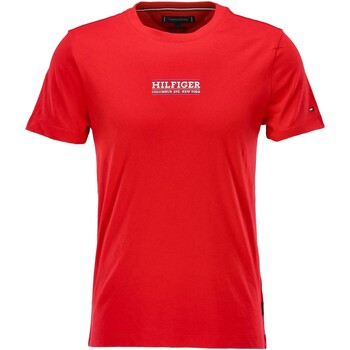 Kleidung Herren T-Shirts & Poloshirts Tommy Hilfiger Small Hilfiger Tee Rot
