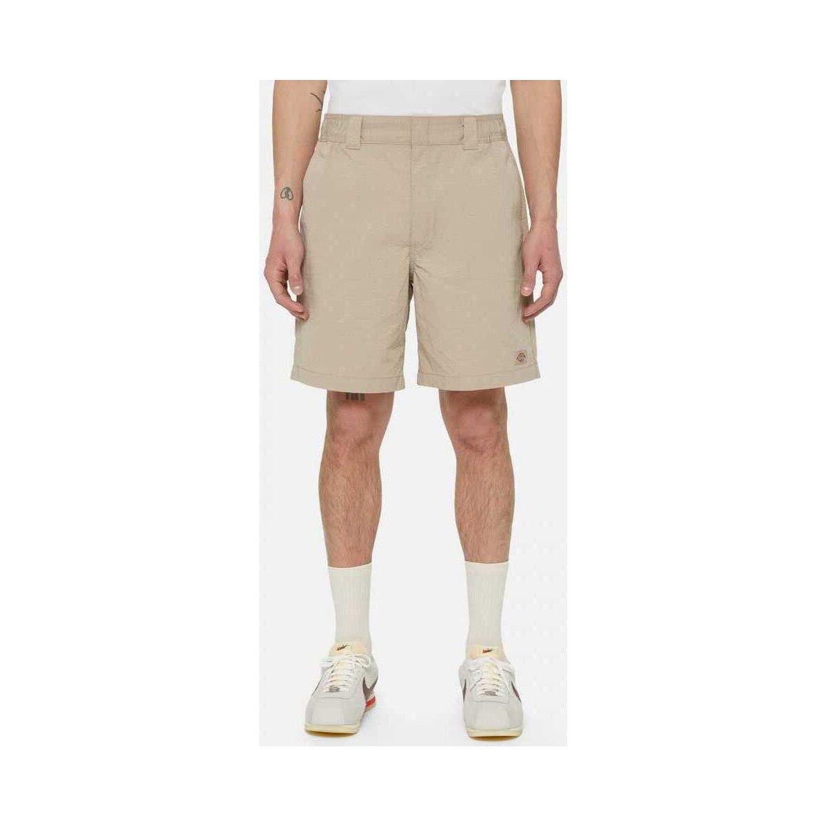 Kleidung Herren Shorts / Bermudas Dickies Fincastle short Beige
